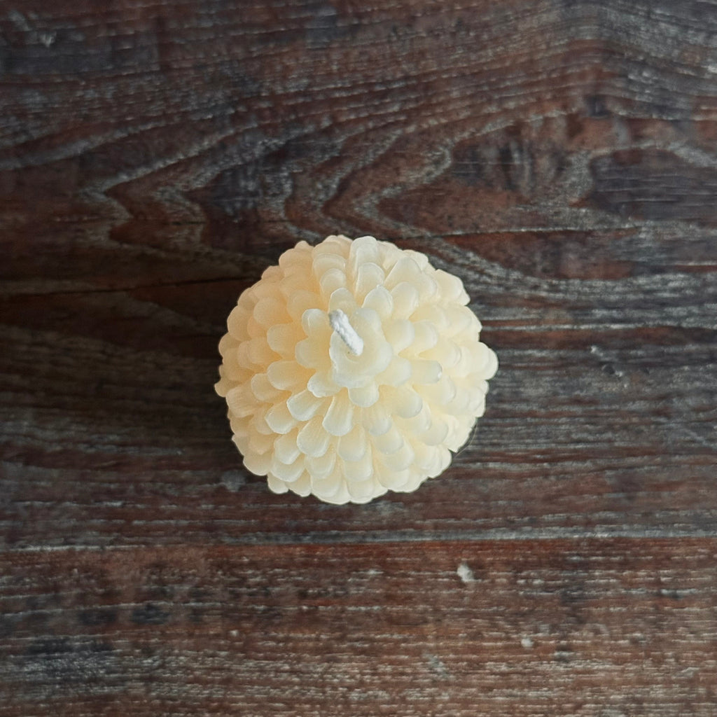 Autumn Pine Hand Poured Candle