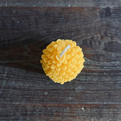 Autumn Pine Hand Poured Candle